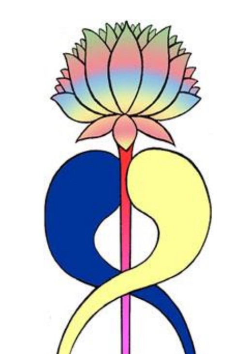 Symbole Reiki kundalini
